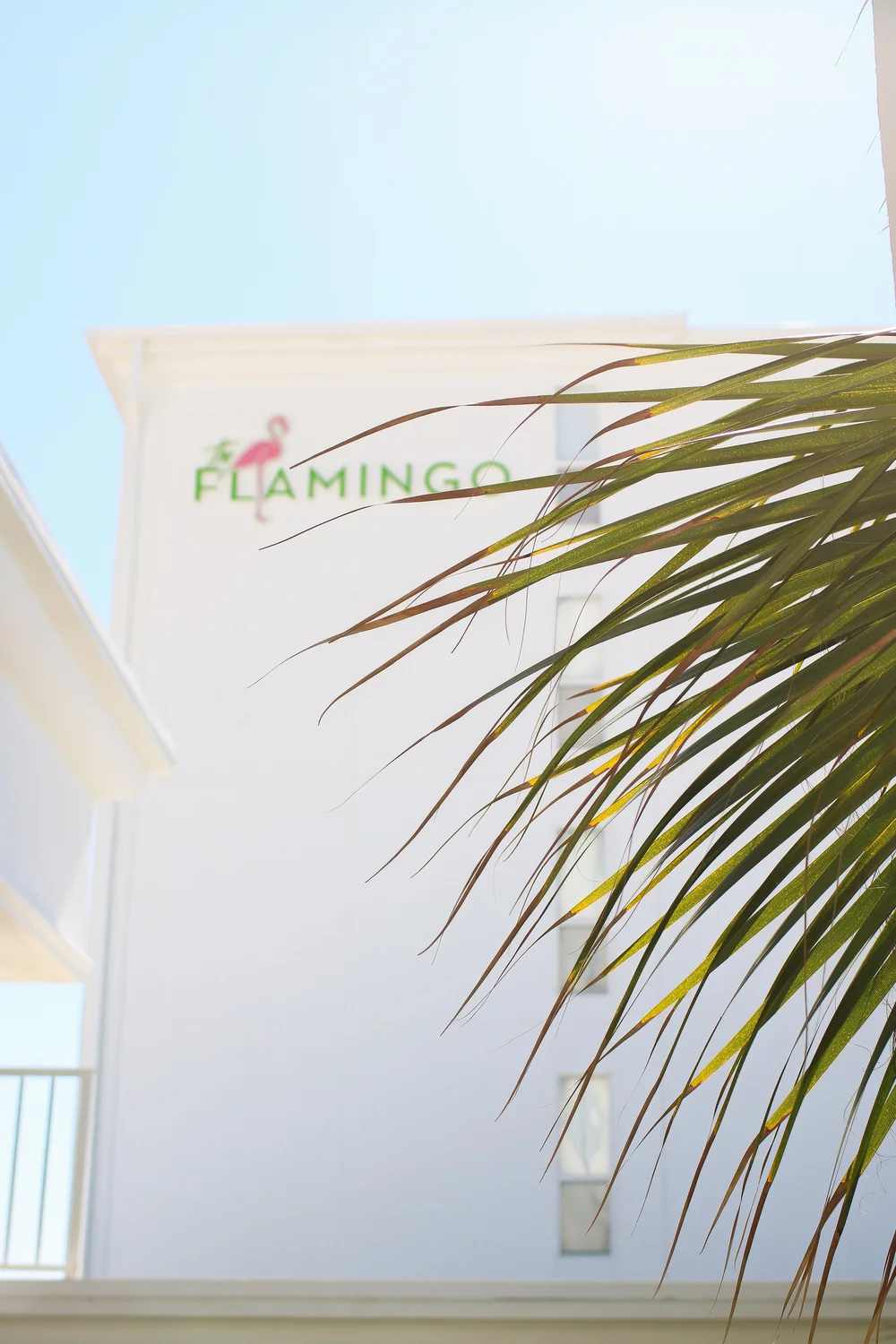 The Flamingo Hotel and Tower